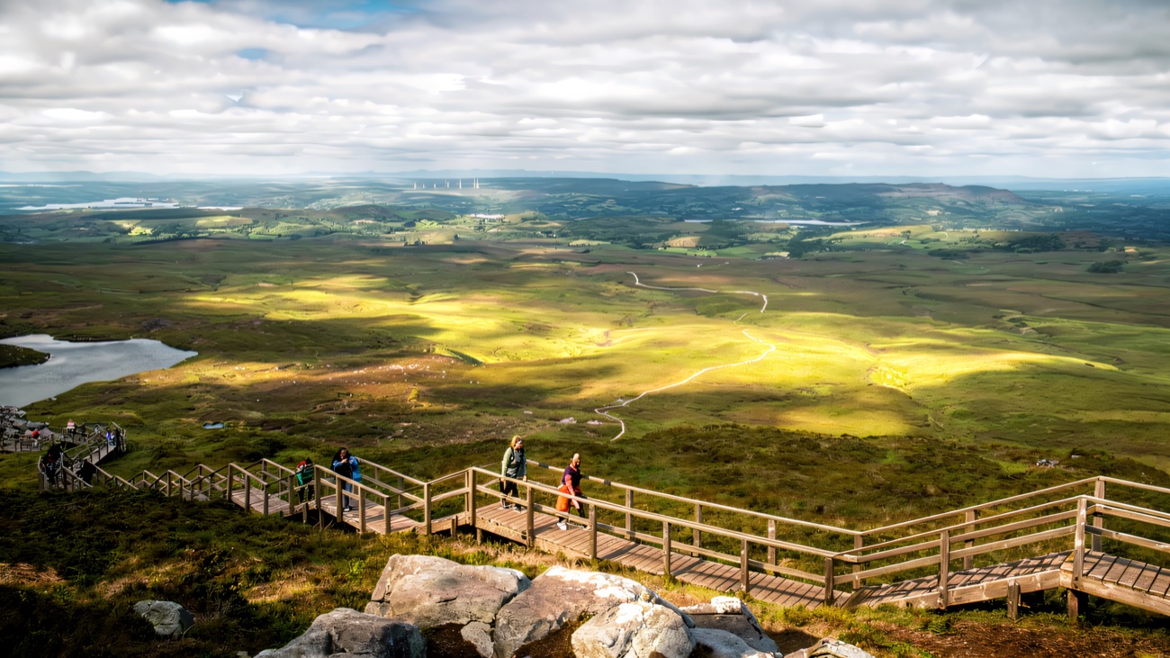 From the top the boardwalk snakes for miles across the open moorland
