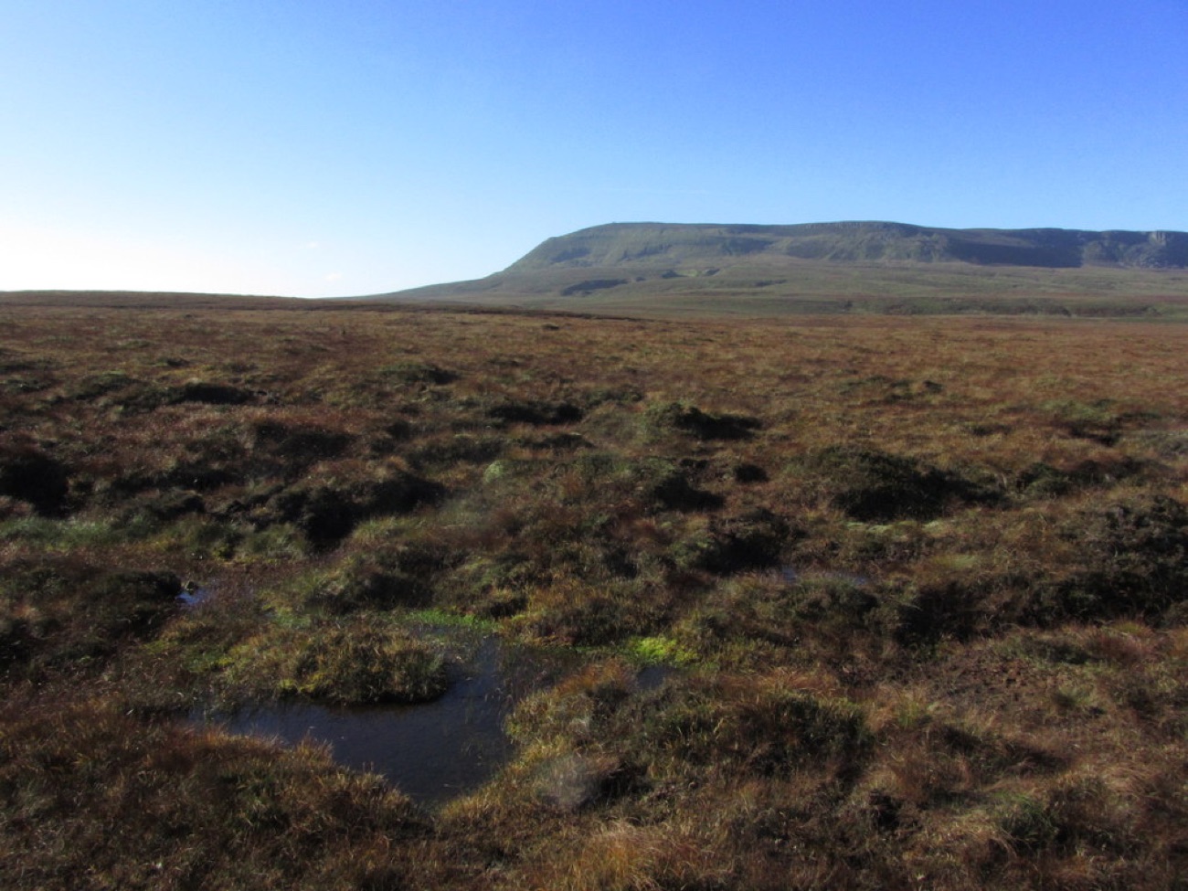 Wild russet blanket bog with dark peaty pools, the flat-topped summit ridge of Cuilcagh rising behind.
