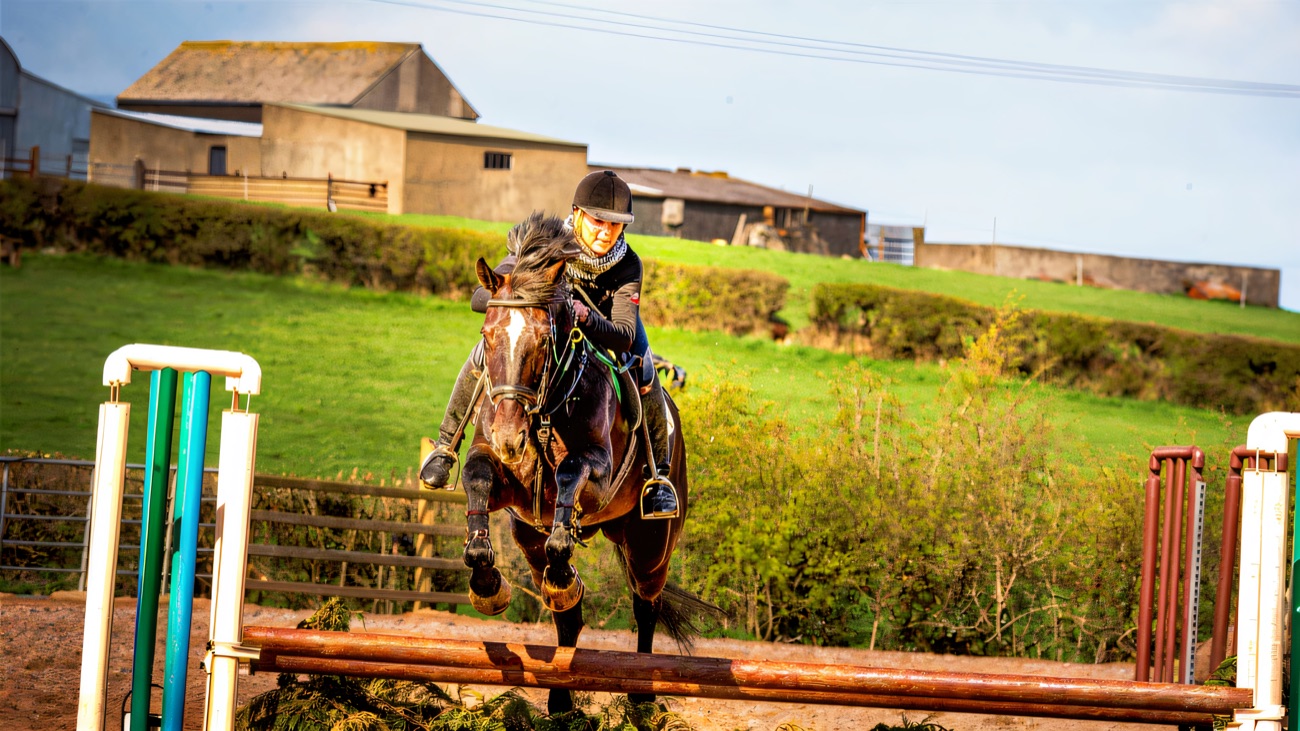Show jumping in the outdoor arena with the farm buildings behind