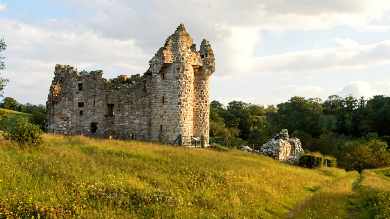 The ruined towers of Monea Castle rising from a wildflower meadow in golden evening light