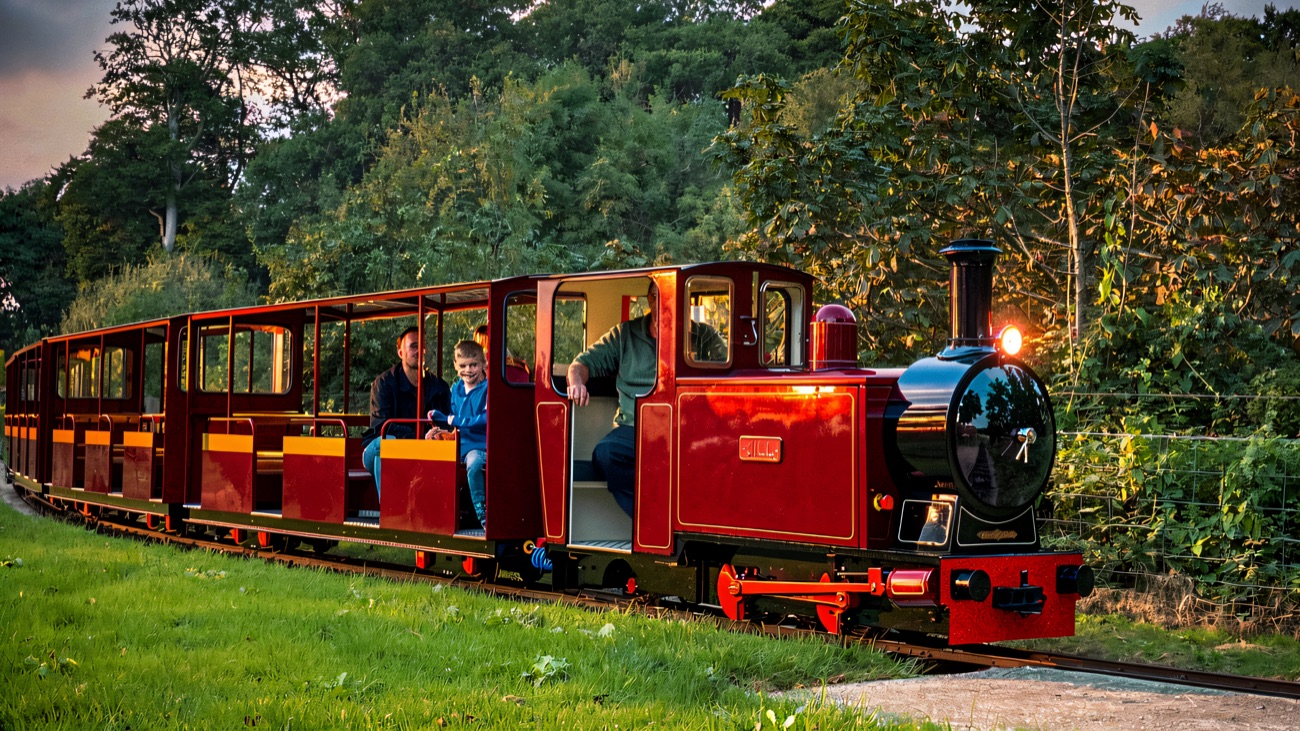 The little maroon ride-on train rounding a grassy meadow loop on a bright day at Delamont