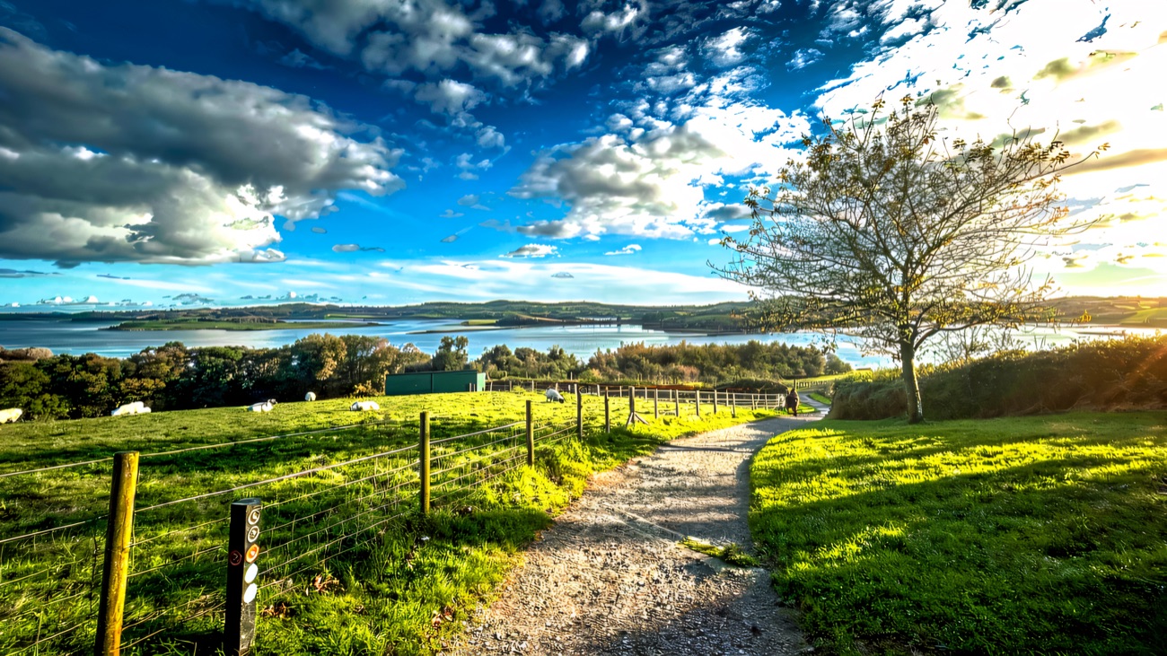 A gravel walking path in Delamont Country Park sloping down towards a view of Strangford Lough