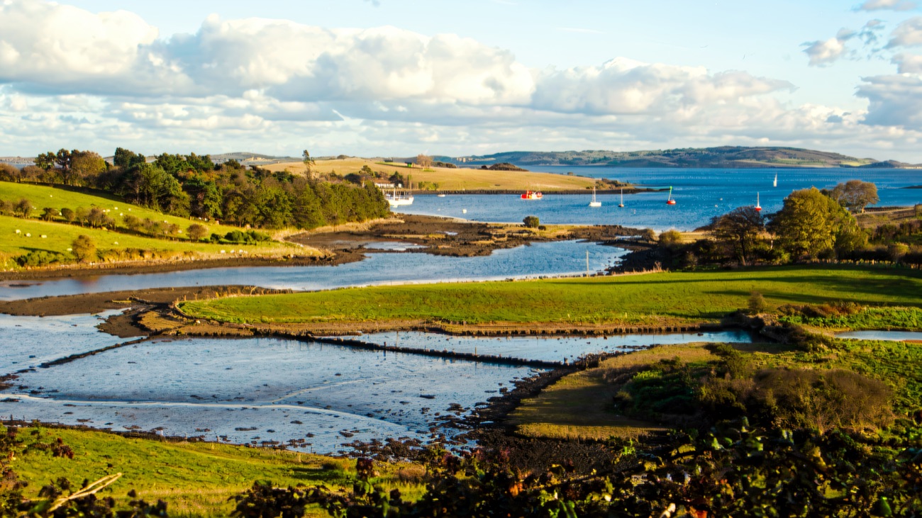 Boats moored on Strangford Lough beyond green fields and salt marsh near Delamont