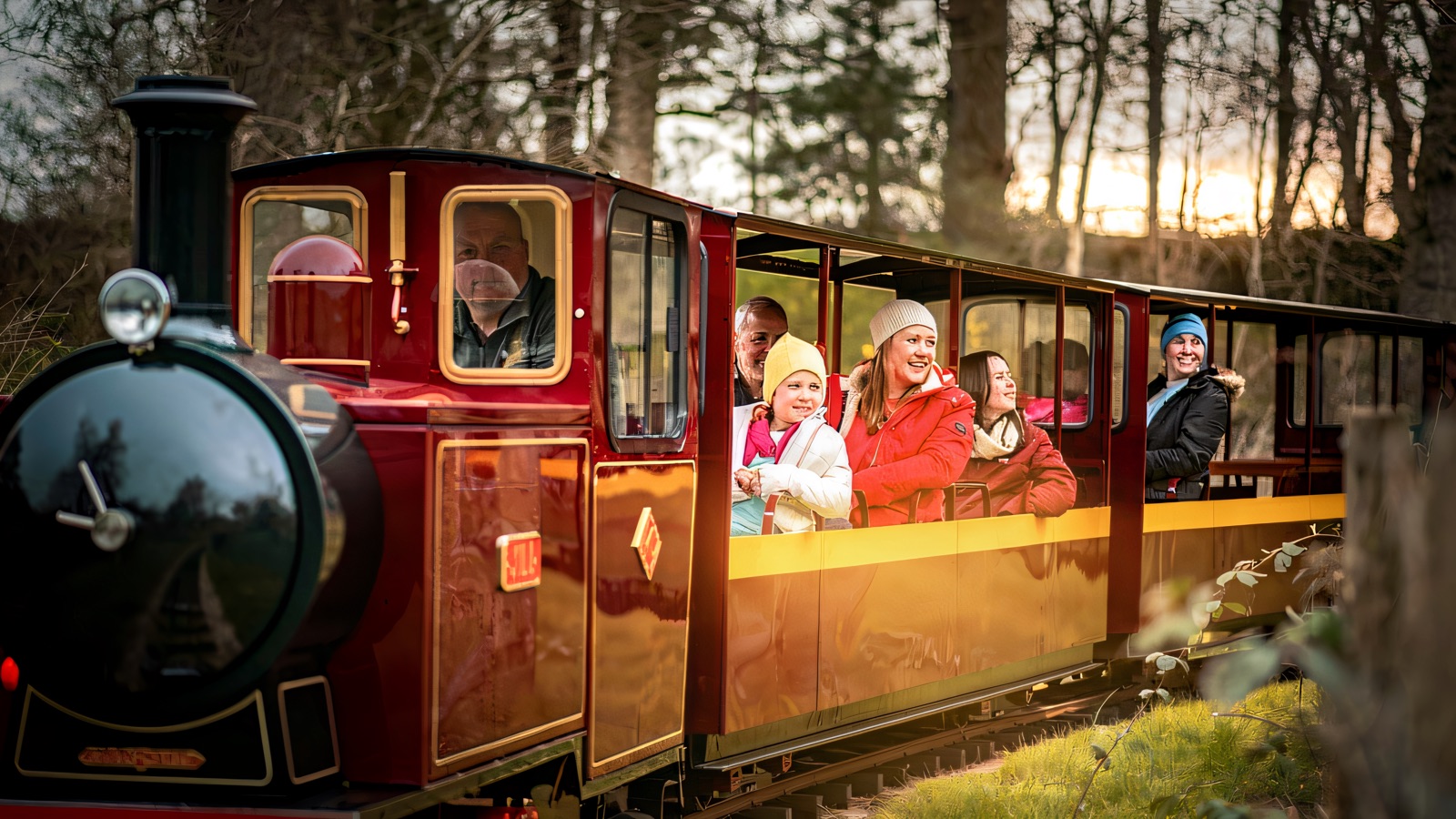 The maroon and gold Delamont miniature train carrying passengers along its track past woodland at Delamont Country Park