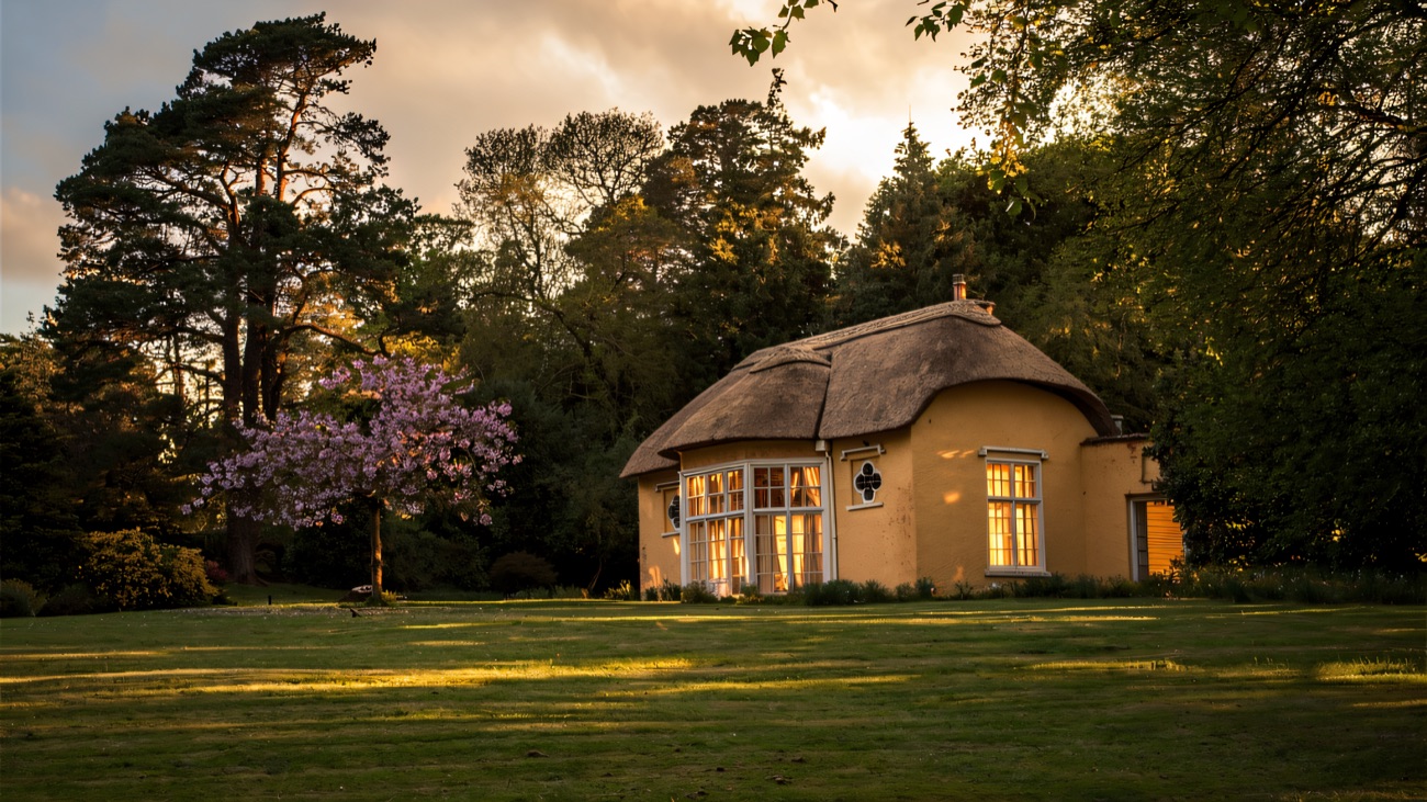 Derrymore House across the sweeping parkland lawn, with a pink cherry blossom tree in flower and mature woodland behind