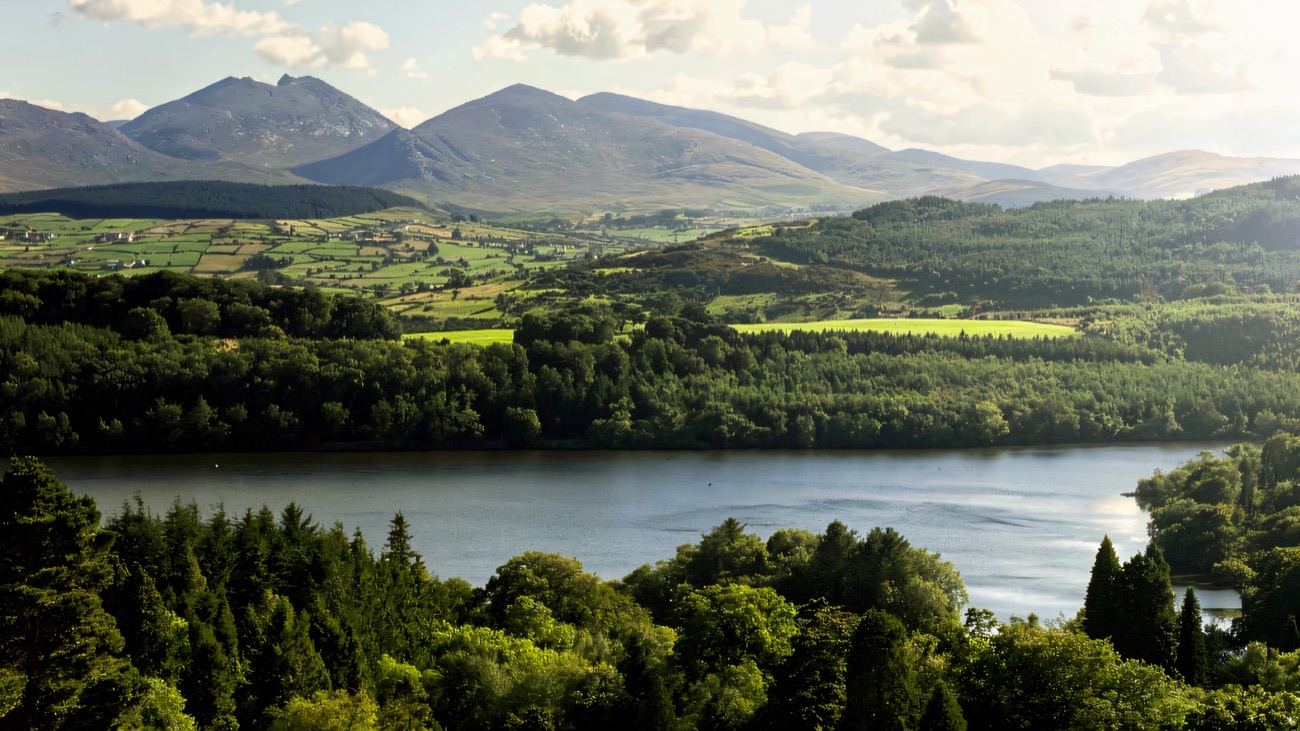 Castlewellan lake and forest with the Mourne Mountains rising behind