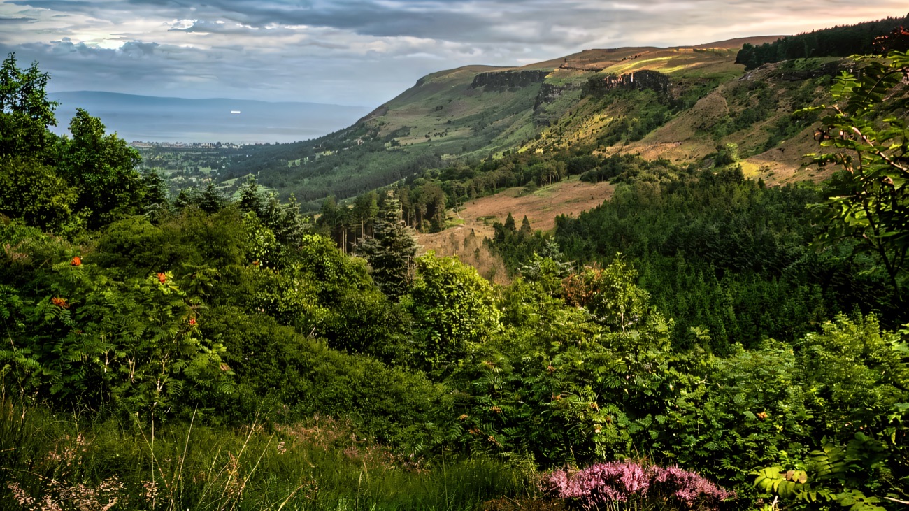 The view down Glenariff glen from the forest park, fields and forest running to the sea