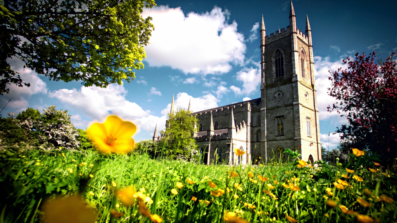 The cathedral rising above a meadow of buttercups on the Hill of Down