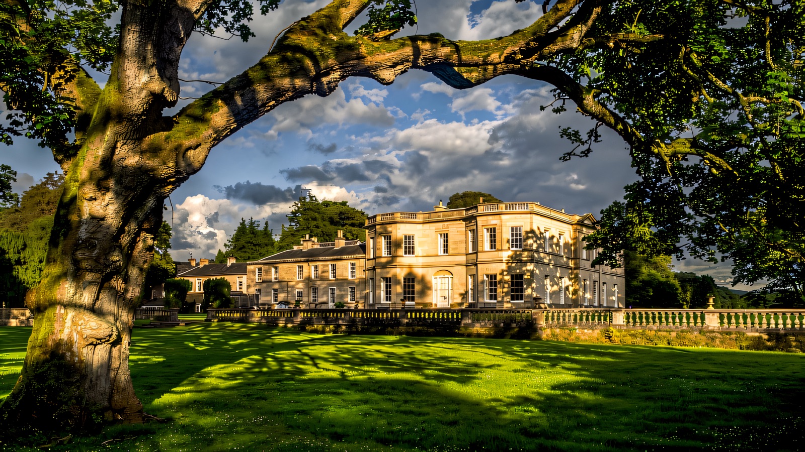 The classical stone mansion at Drenagh framed by a great tree above the lawn