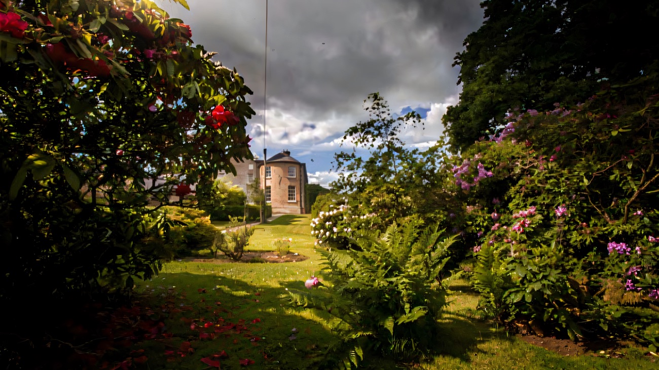The mature garden at Drumcovitt with rhododendrons and azaleas in flower, a lawn path and the house glimpsed through the greenery