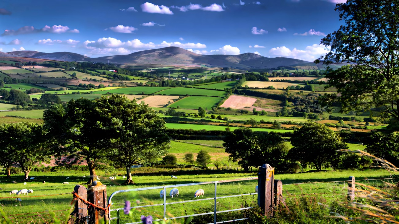 Rolling green fields, a farm gate and sheep with the Sperrin mountains rising in the distance near Feeny