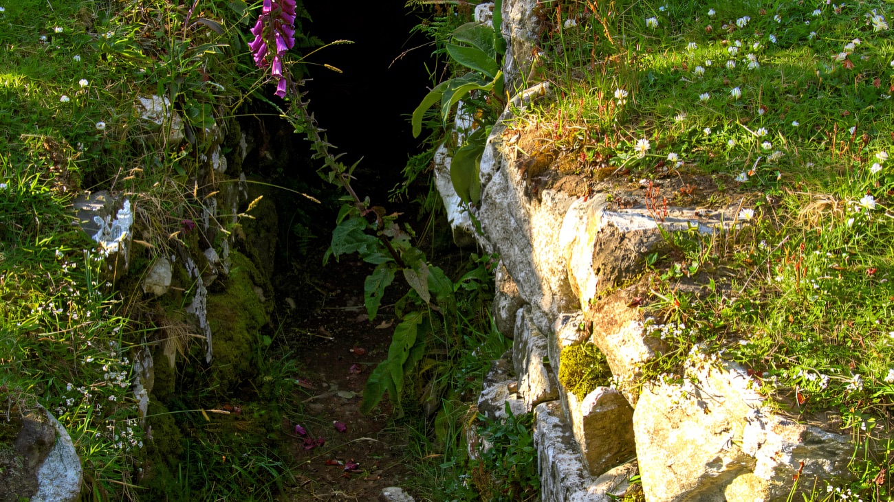 A closer look at the stone-lined souterrain passage, foxgloves growing at its mouth.