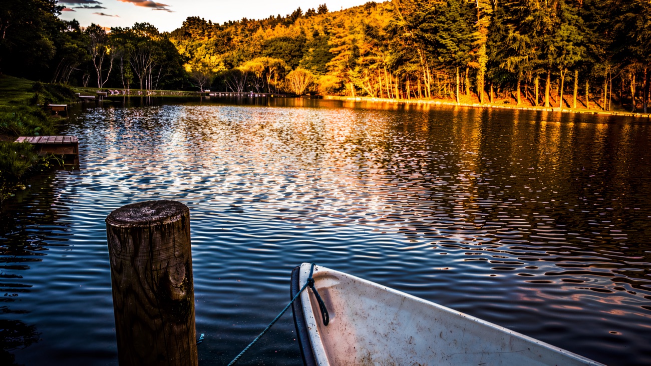 Evening light on the water beside the moored boat