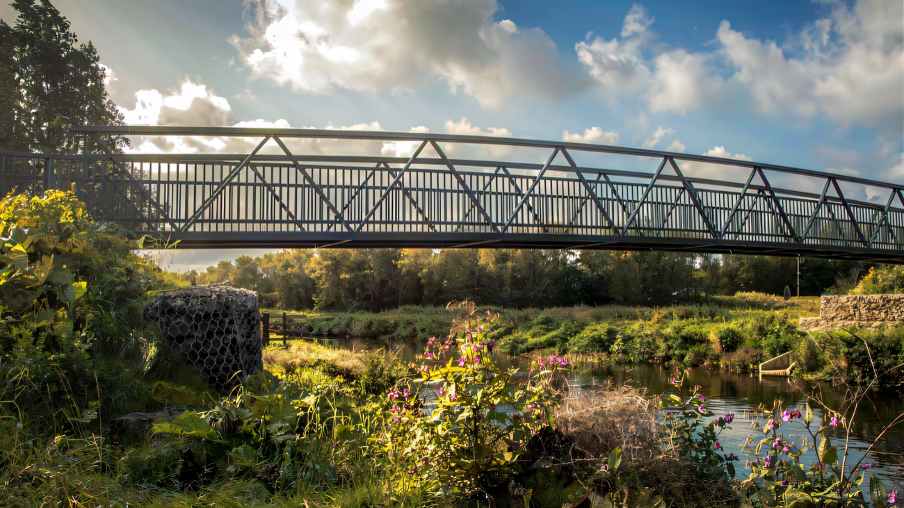 A footbridge over the river, wildflowers crowding the bank
