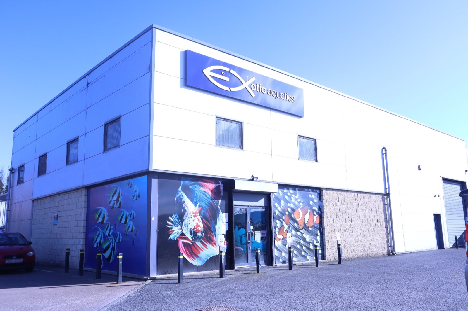 The Exotic Aquatics Belfast shopfront in Castlereagh, with the fish-logo sign above the door and big colourful painted fish murals across the windows