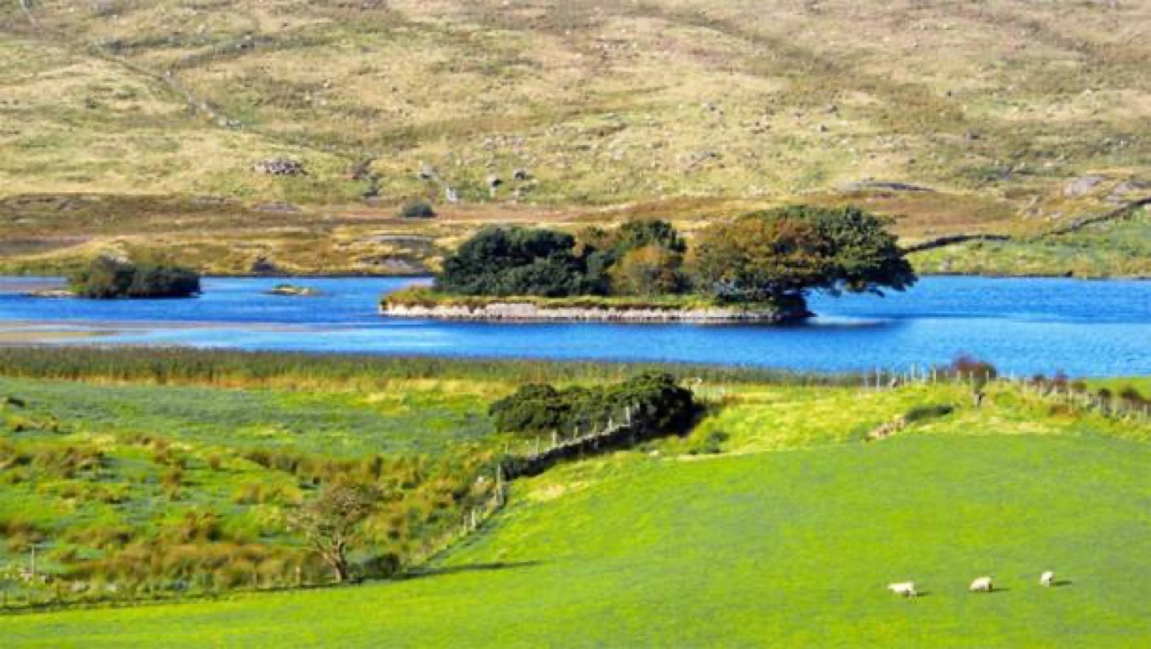The wooded crannog island on Lough na Cranagh, the lake on the Fair Head plateau, with green fields around