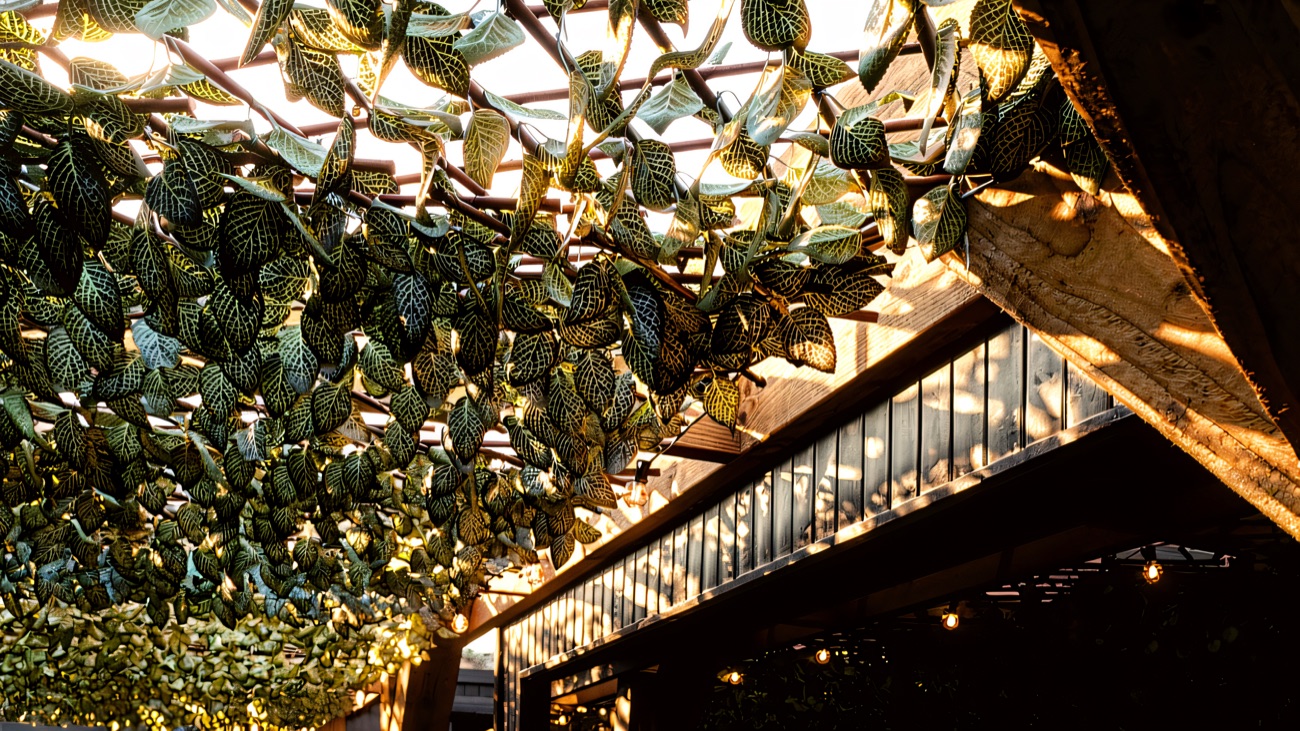 Leaf canopy over the walkway through the garden