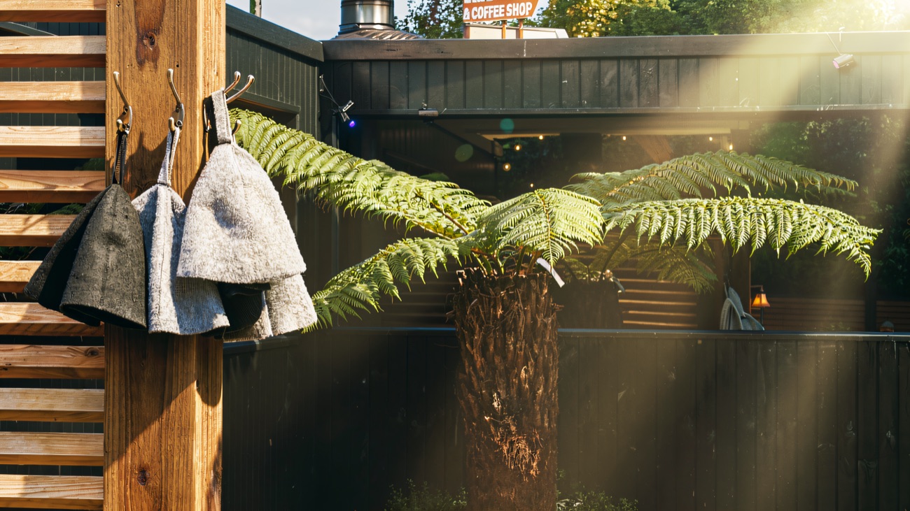 Row of felt sauna hats hanging on hooks beside a tree fern