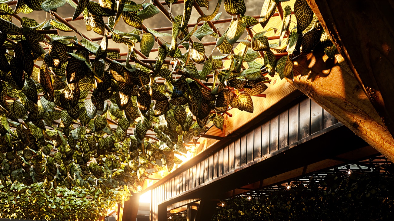 Leafy pergola canopy shading the walkway to the sauna cabin