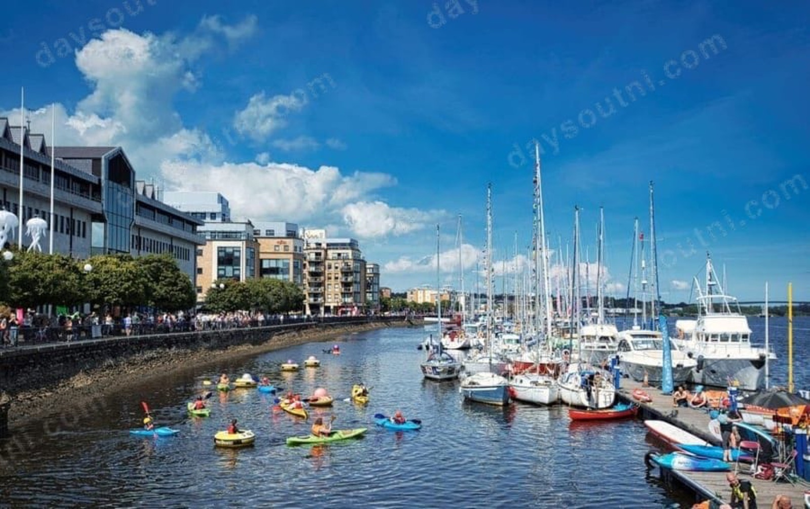 Foyle Adventures and Boat Tours