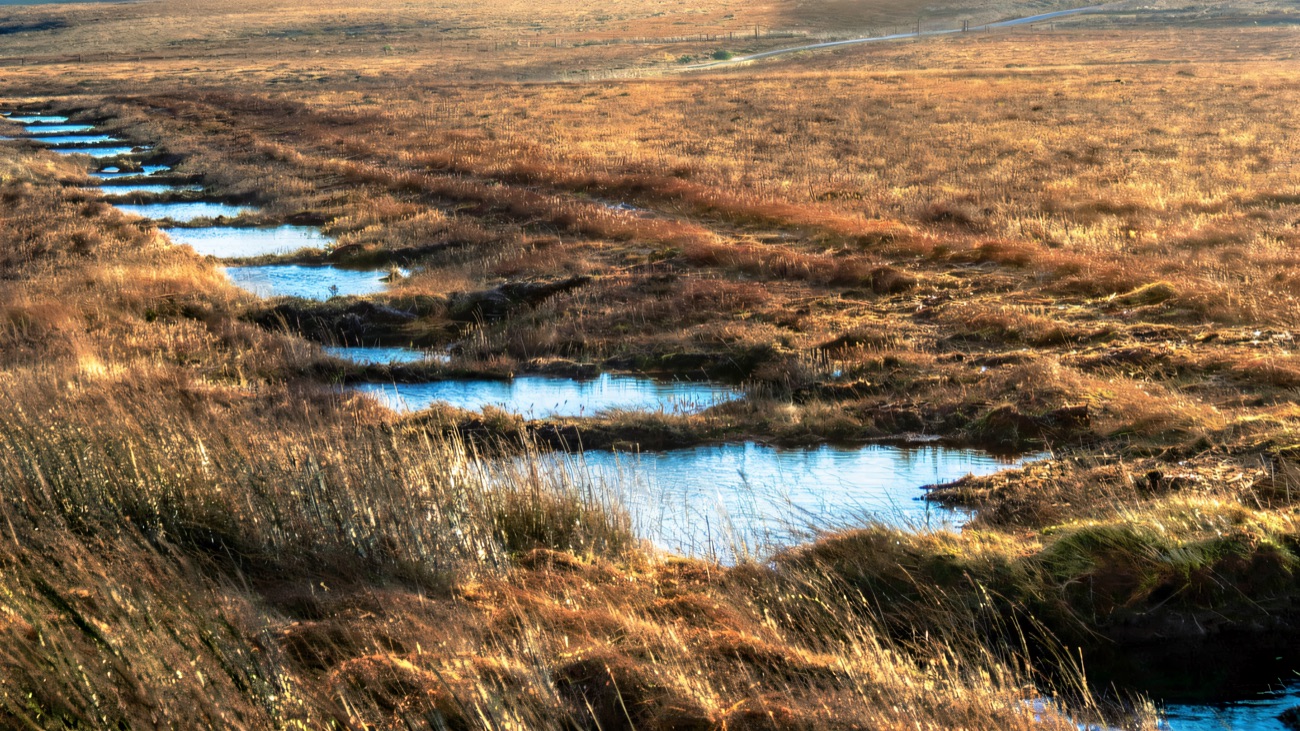 Peat pools and russet bog grasses across the blanket bog, one of the largest intact examples in Northern Ireland.