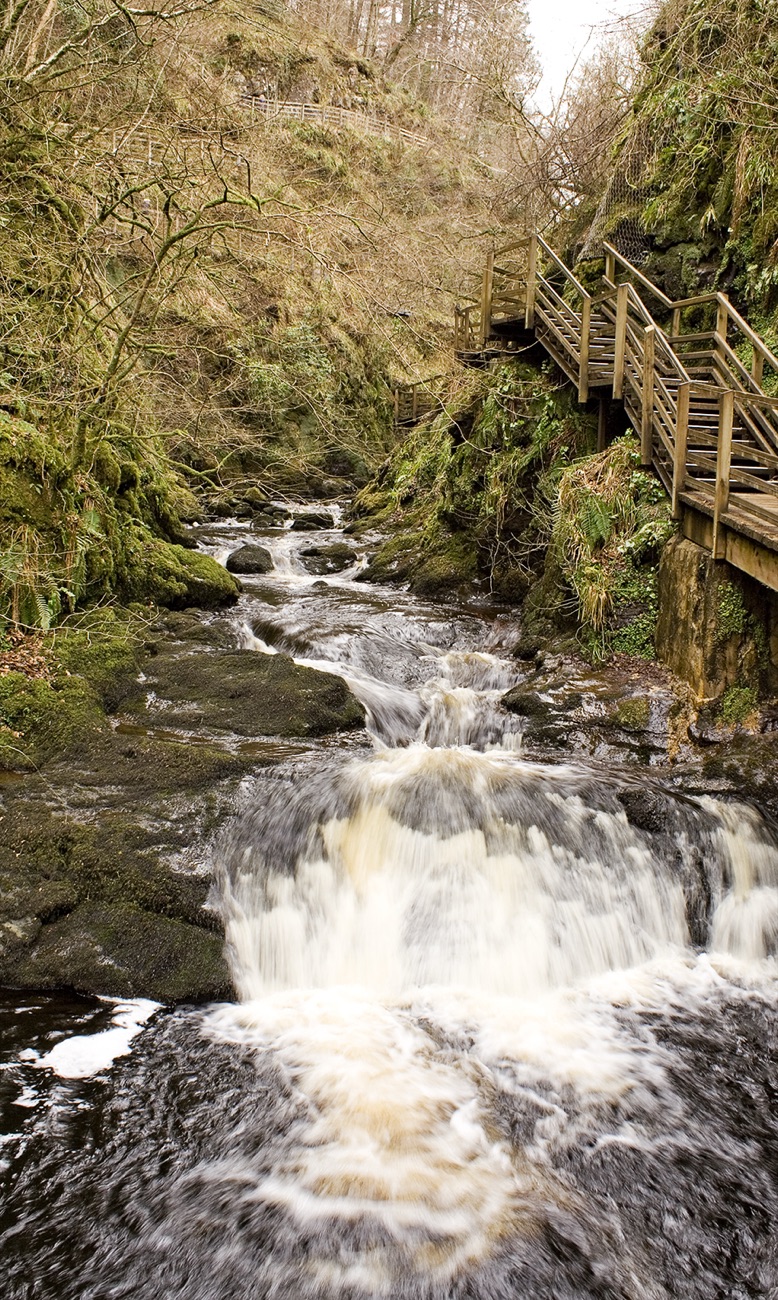 The river tumbles white over rock in the gorge, with a timber boardwalk and steps climbing the wooded bank.