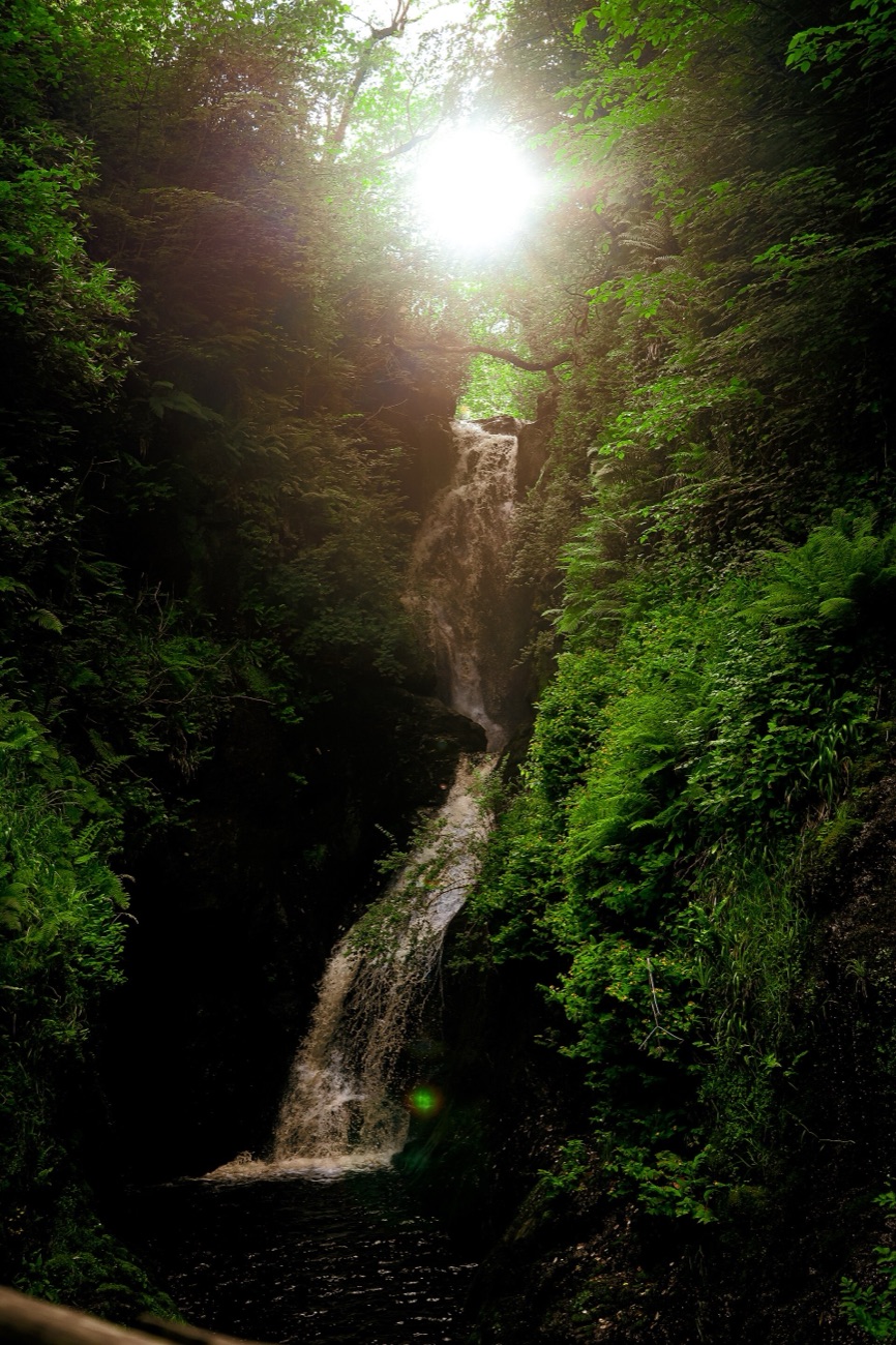 The tall Ess-na-Larach waterfall drops through a deep, ferny gorge with sunlight breaking through the canopy above.
