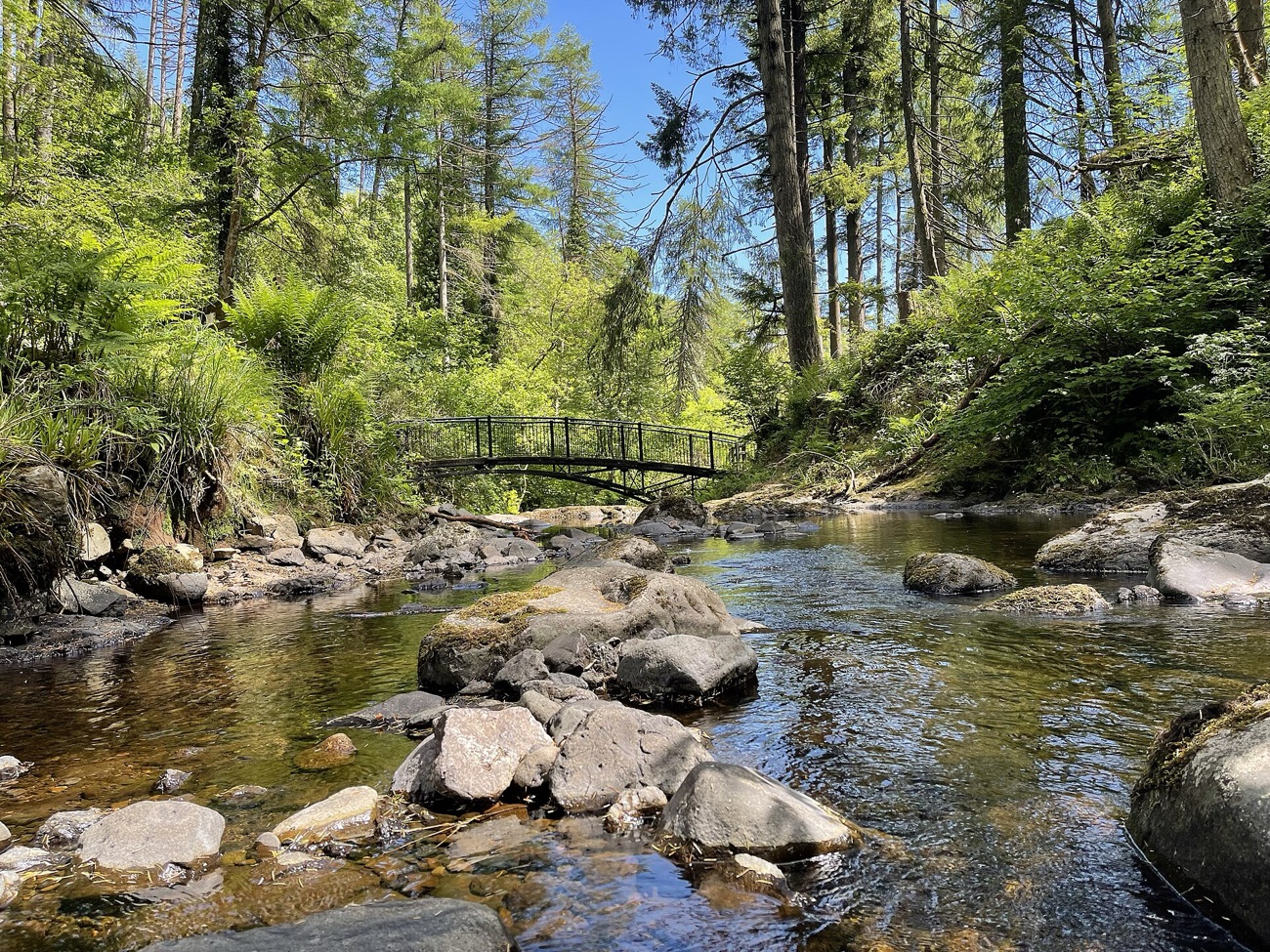 A small footbridge crosses the clear, rocky river in bright sunlit woodland.