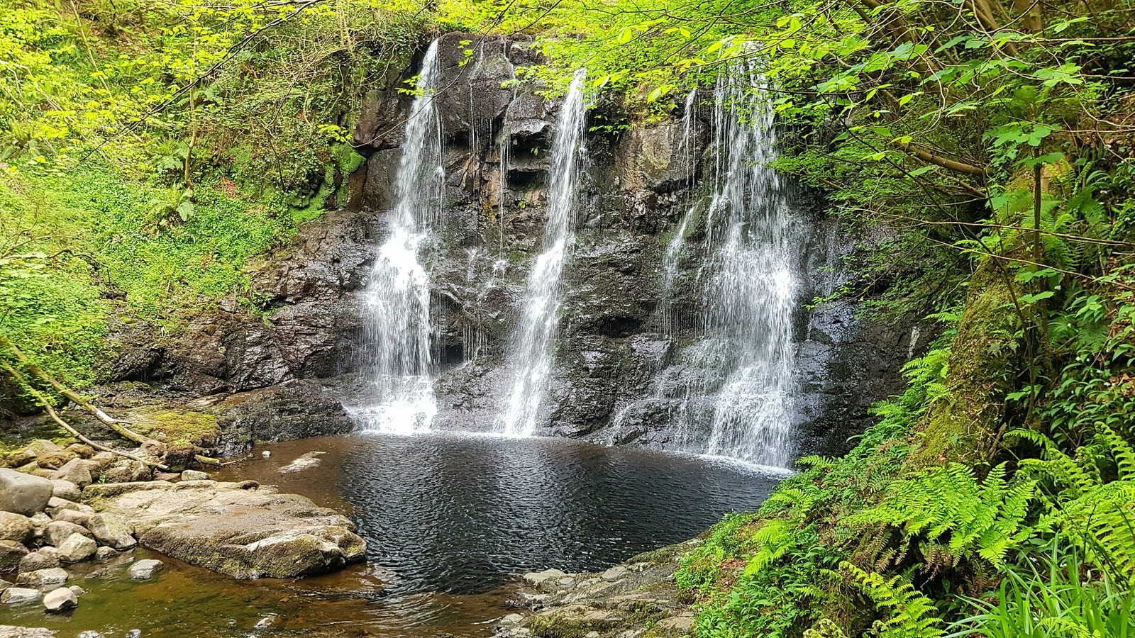 A wooden walkway leading to a waterfall pouring through the wooded gorge at Glenariff
