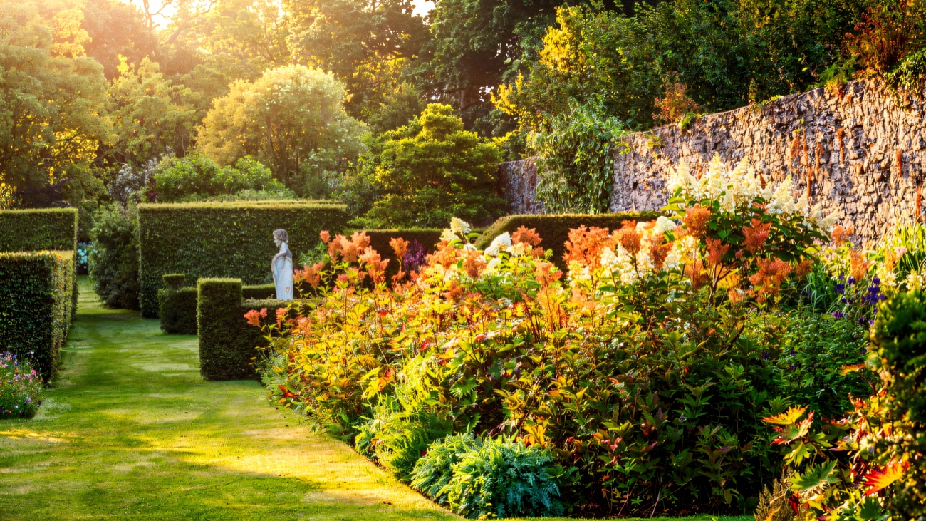 Mixed borders and clipped yews against the old wall of the Glenarm walled garden