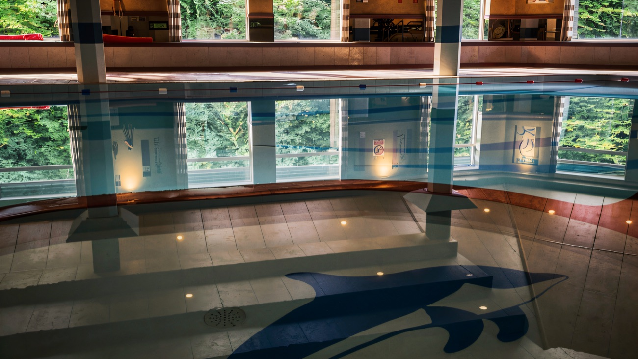 A dolphin motif set into the pool floor, with forest showing through the tall windows.