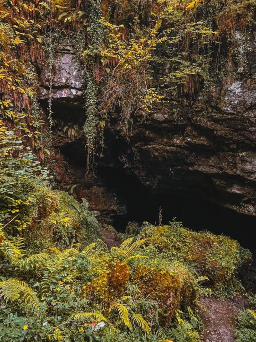 The Pollnagollum cave mouth ringed with autumn-tinted ferns and hanging plants