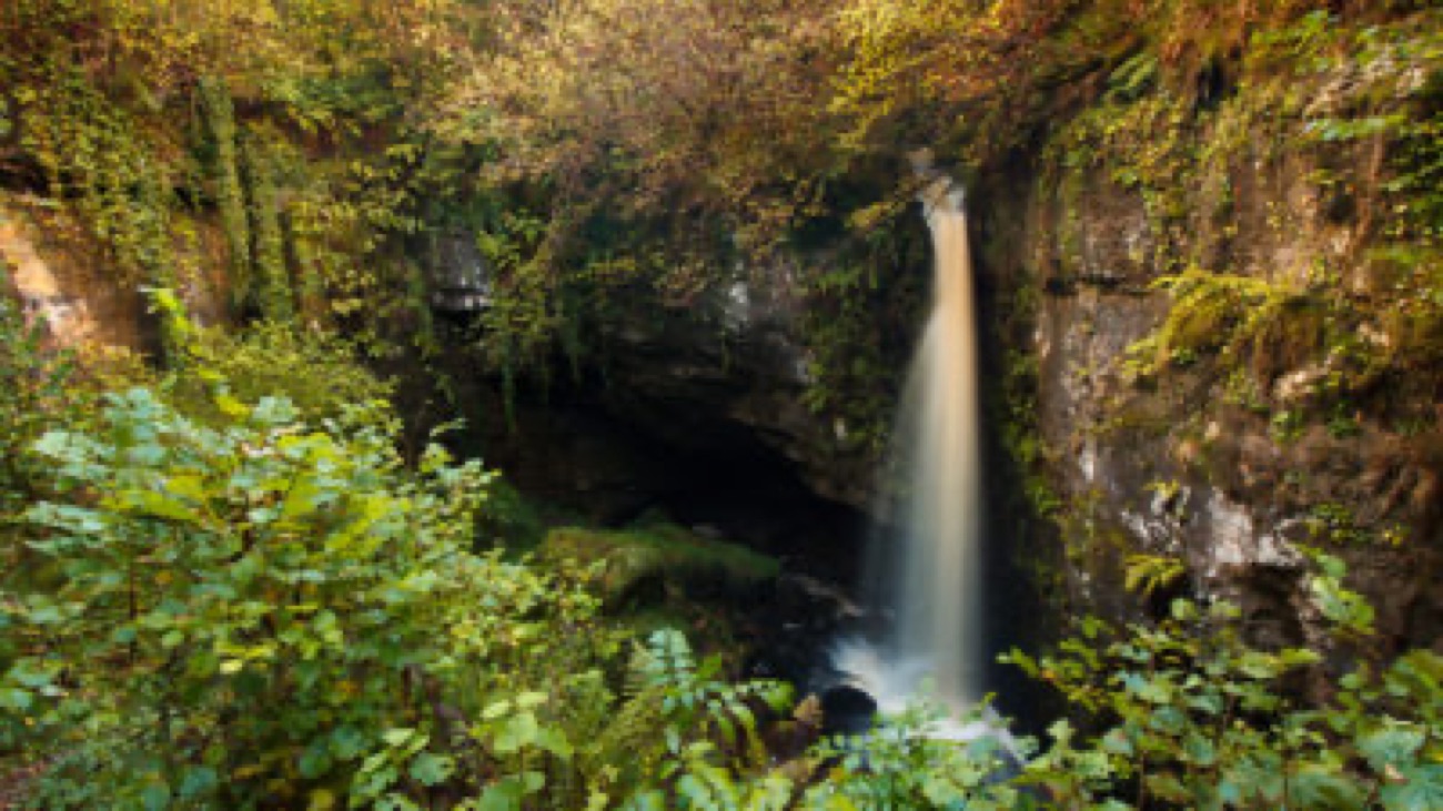 The waterfall spilling into the cave hollow seen through autumn woodland at Belmore Forest