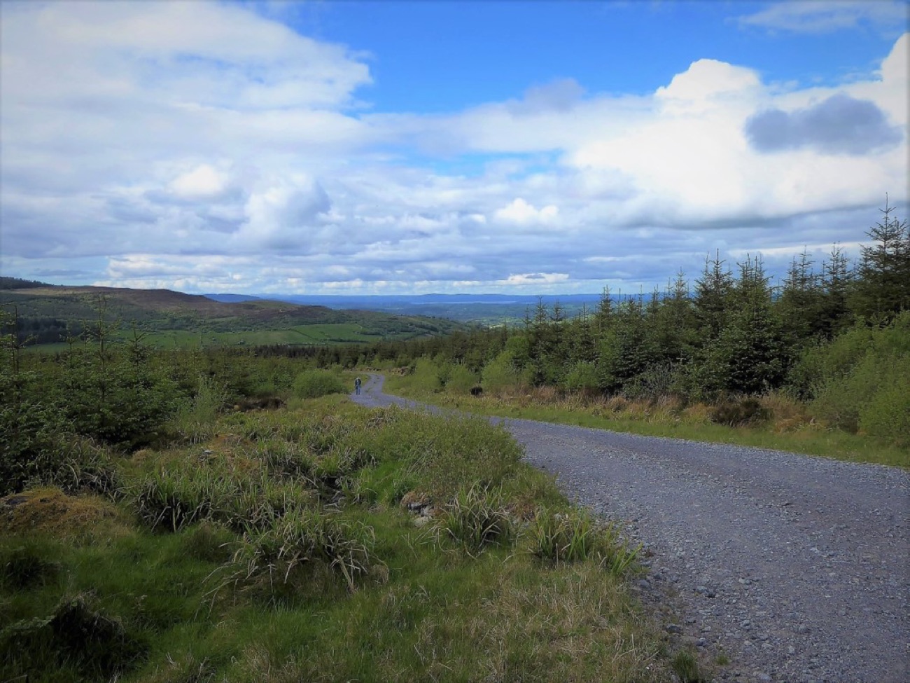 A gravel forest track winding through Belmore Forest with wide views over the Fermanagh hills