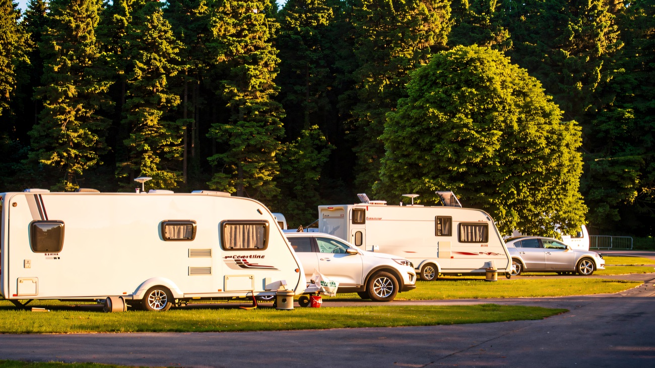 Touring caravans parked on the grass with tall conifers behind