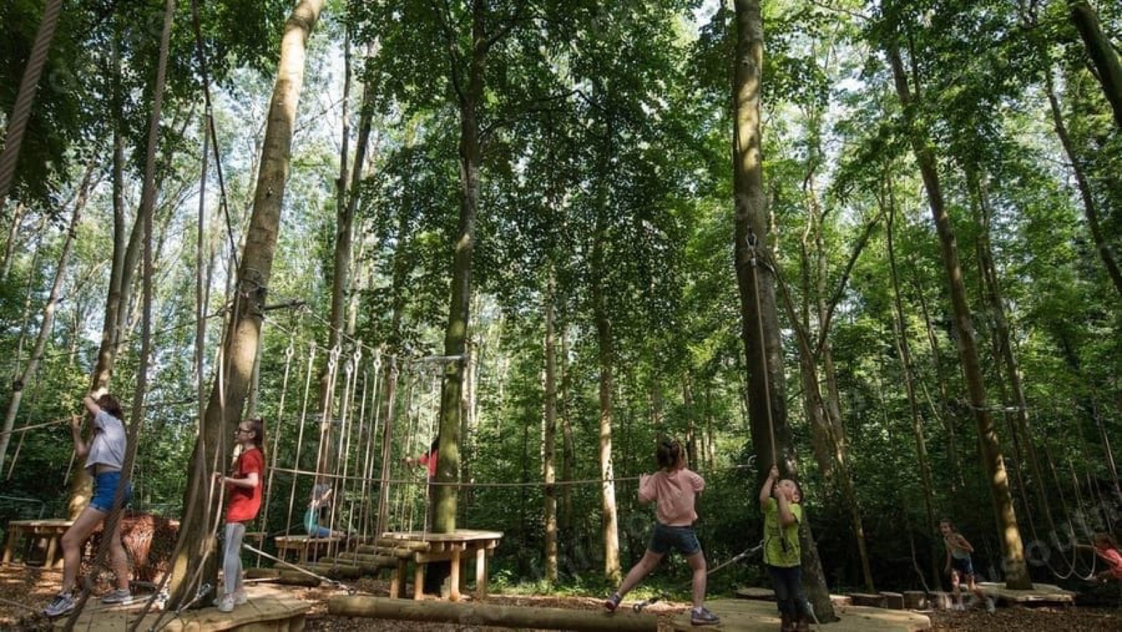 Gosford Forest Park Adventure Trail
