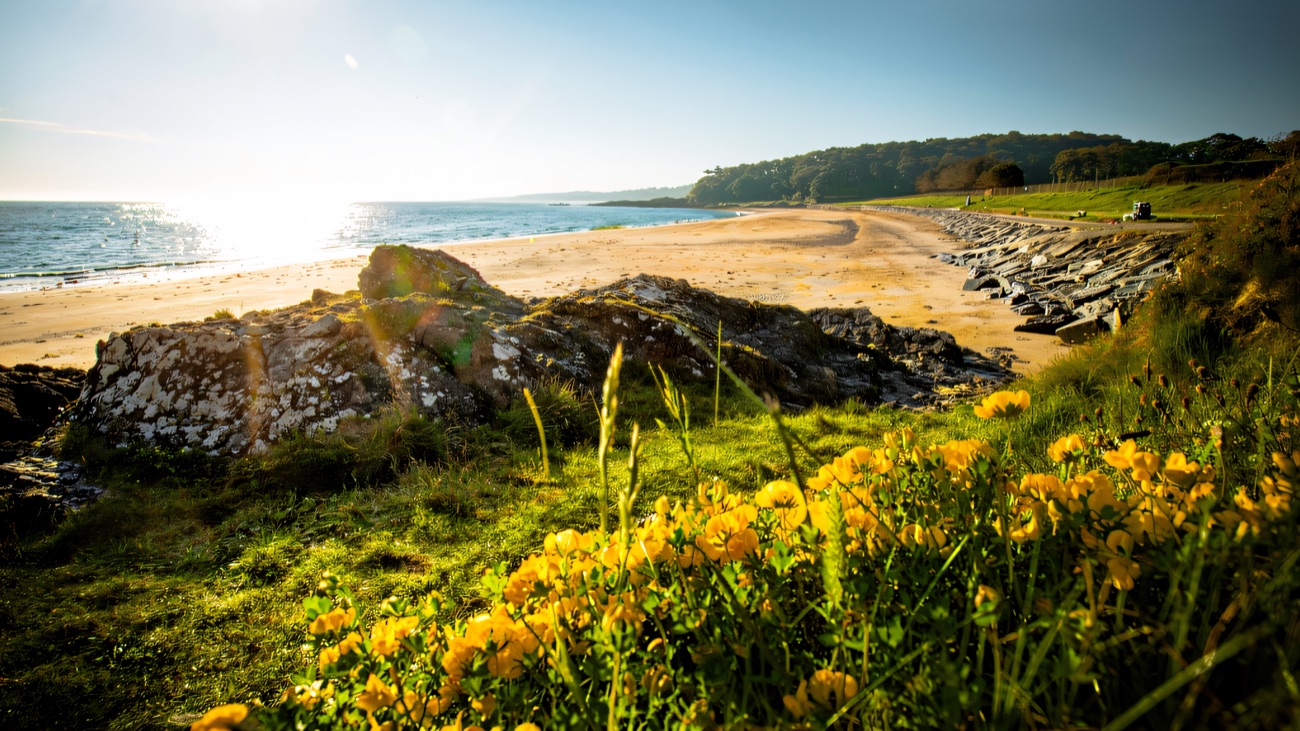 Wildflowers and rocks frame the sunlit sands at Helen's Bay