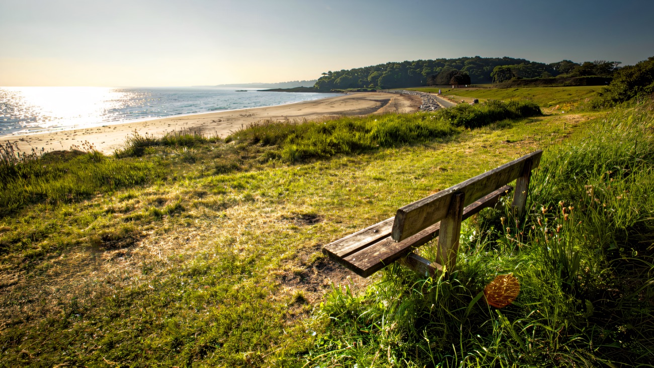 A wooden bench on the grassy bank looking down over the sandy sweep of Helen's Bay beach.