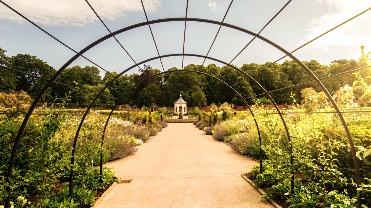 An arched metal pergola walkway in the Walled Garden leading to a small pavilion