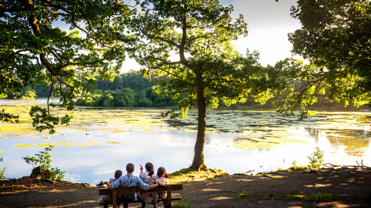 A family sitting on a bench under a big oak, looking out over the lake and its lily pads