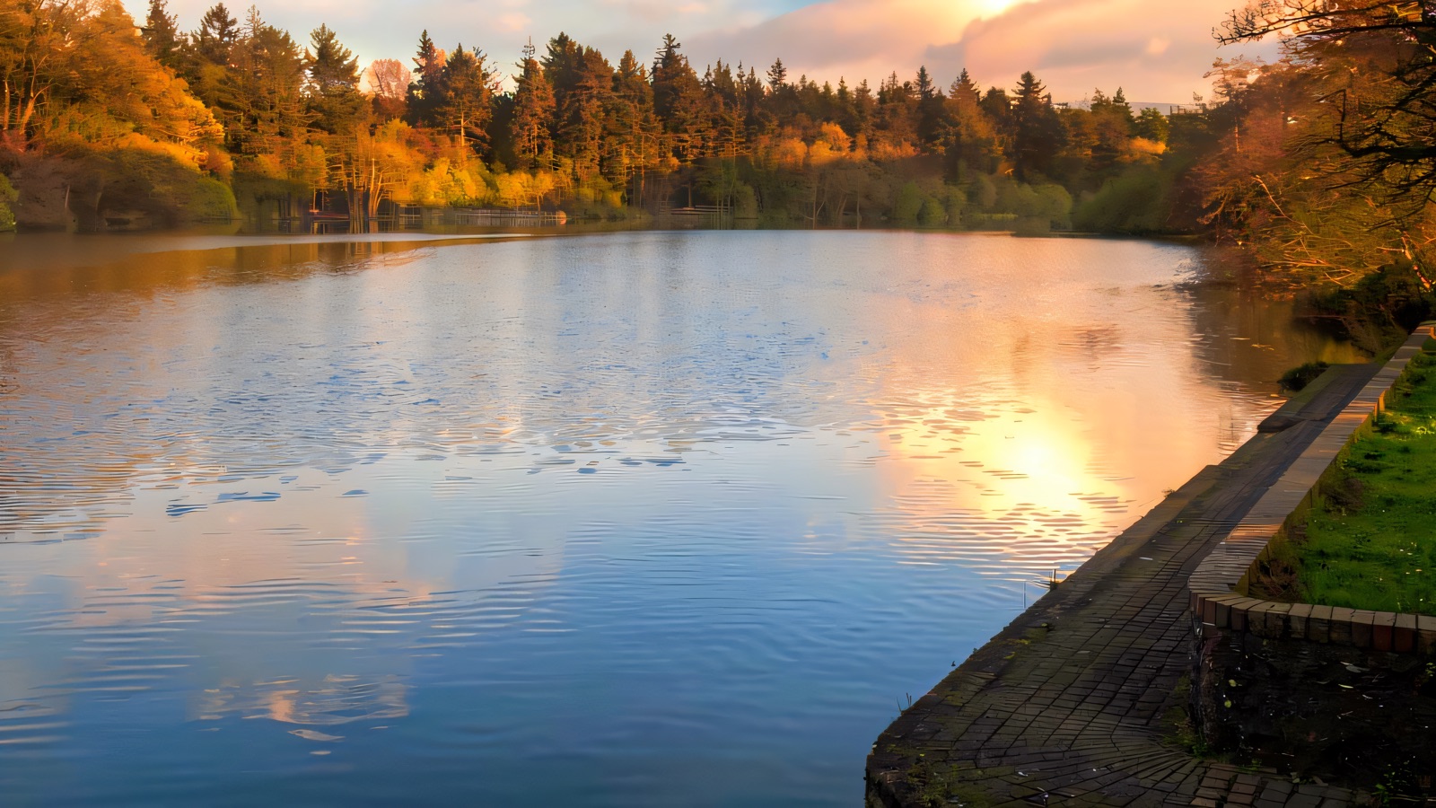 Hillsborough Lake (PAE)