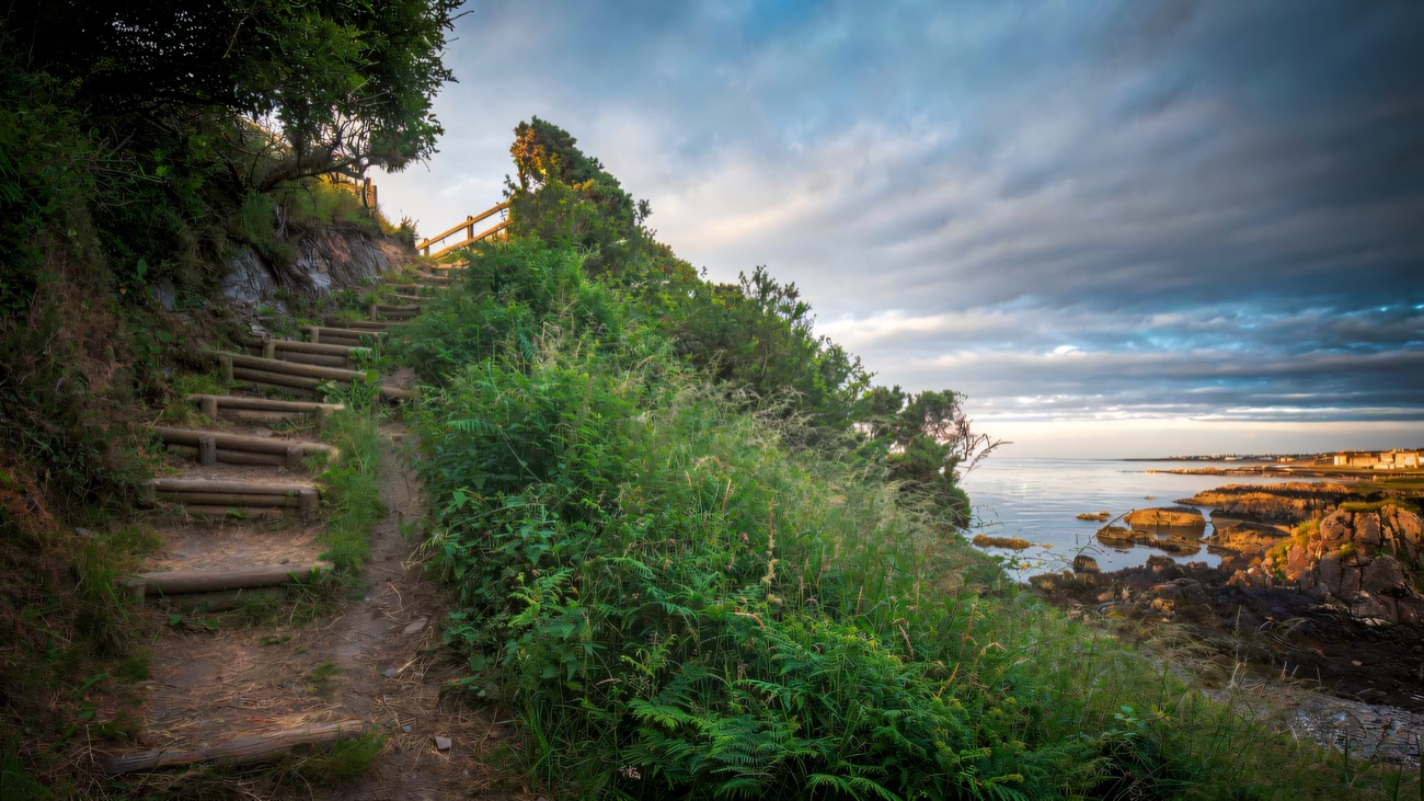 Timber steps climbing the coastal path above the sea
