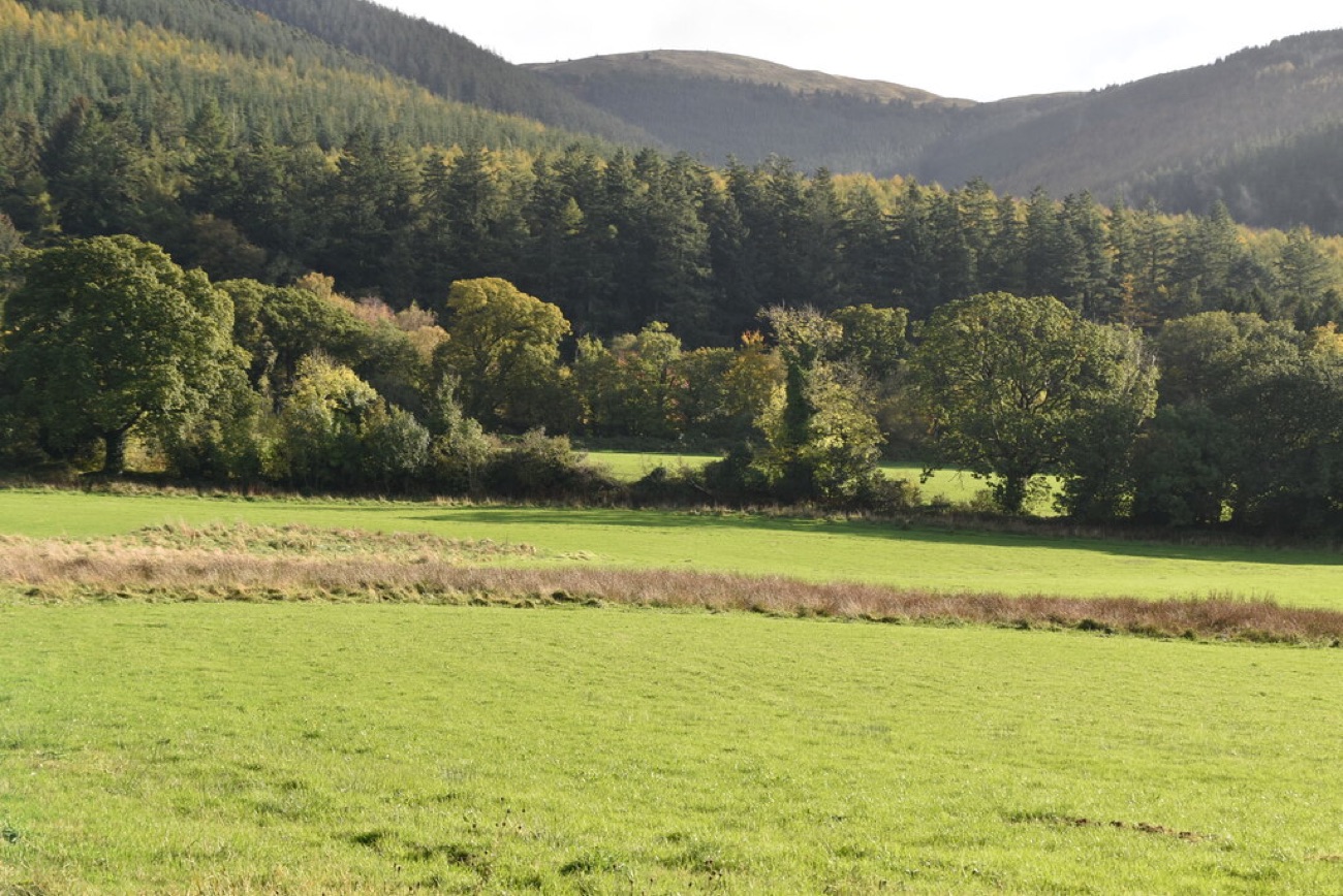Autumn light on the wooded slopes of Slieve Martin rising above the Kilbroney parkland.