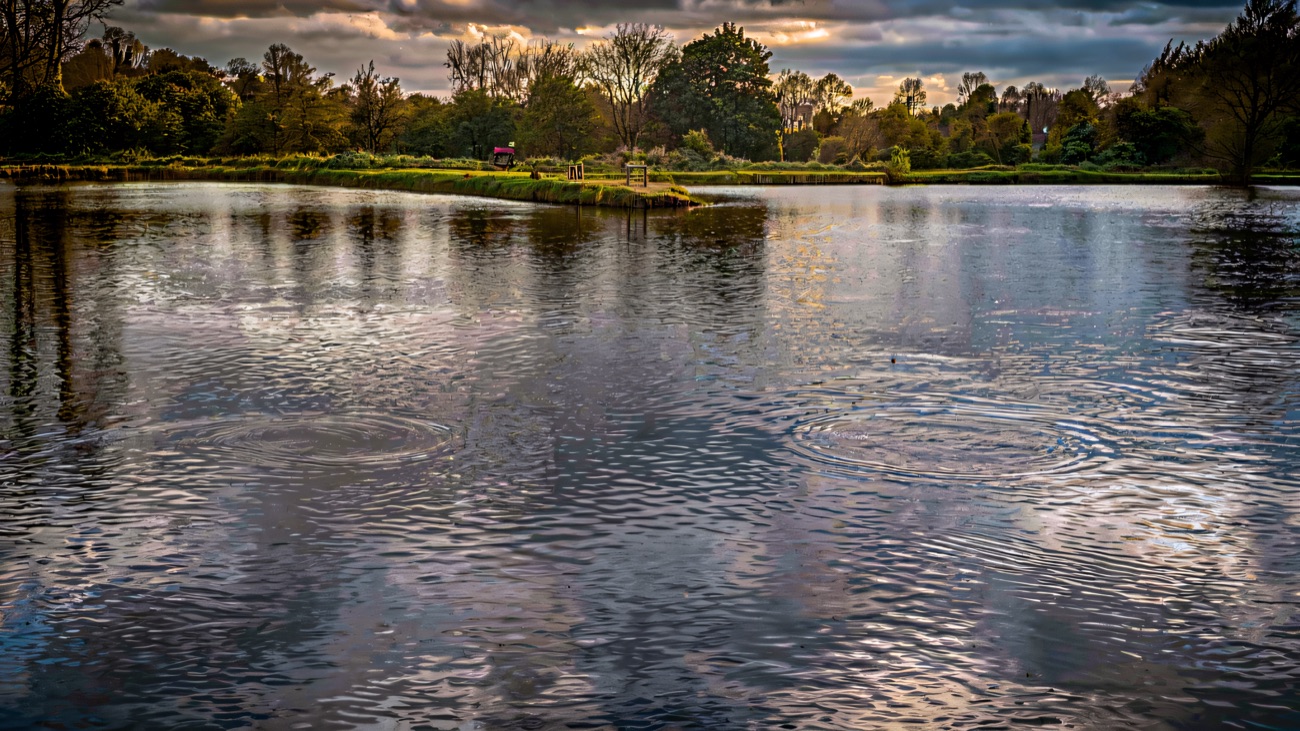 Looking across the lake towards its wooded island
