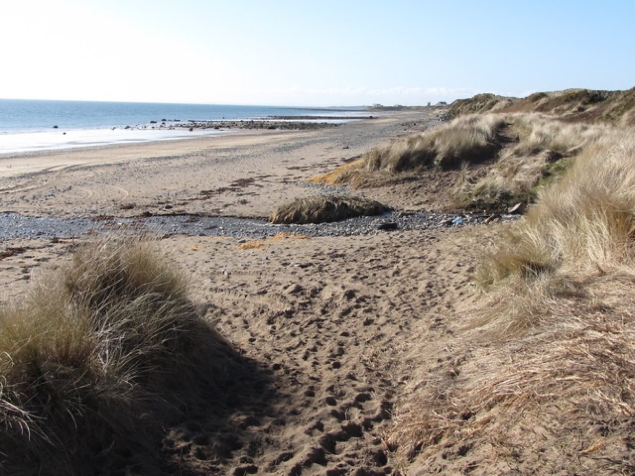 Marram-grass dunes edging the wide open sand and pebbles of the beach at Cranfield near Kilkeel