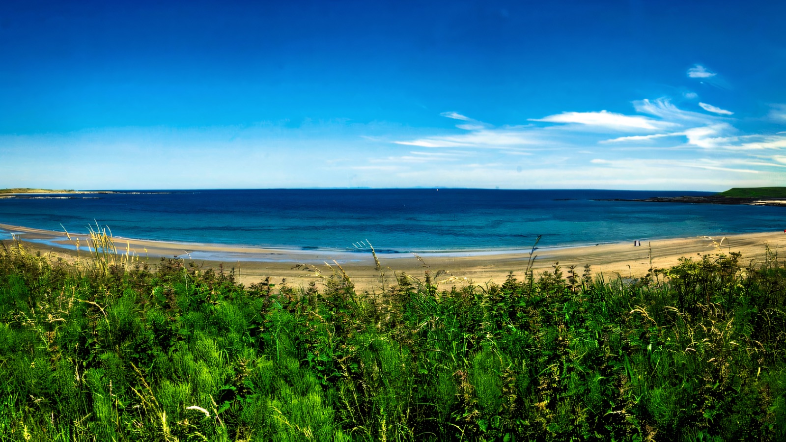 Killard Point National Nature Reserve
