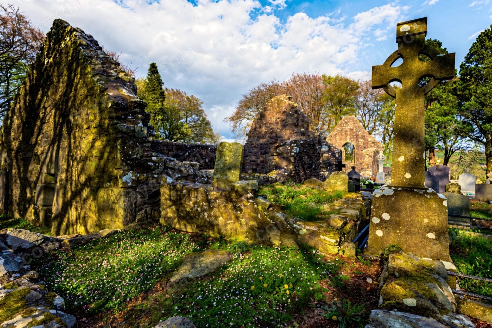 Killevy Old Churches