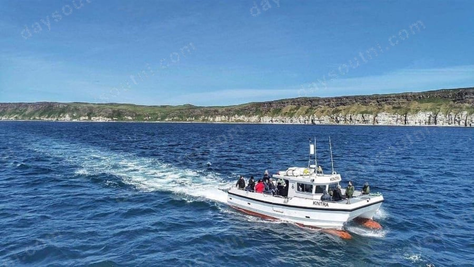 Kintra Boat Tours
