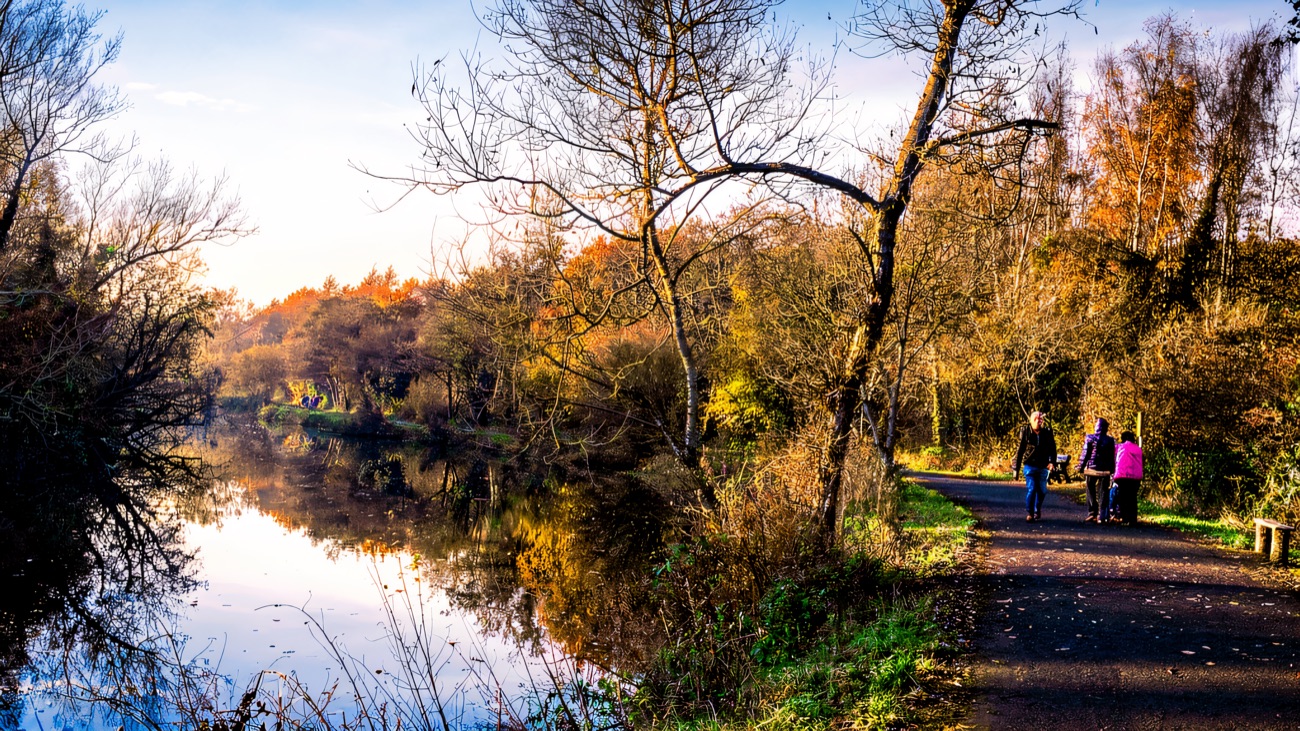 The towpath glows with autumn colour beside the still canal water