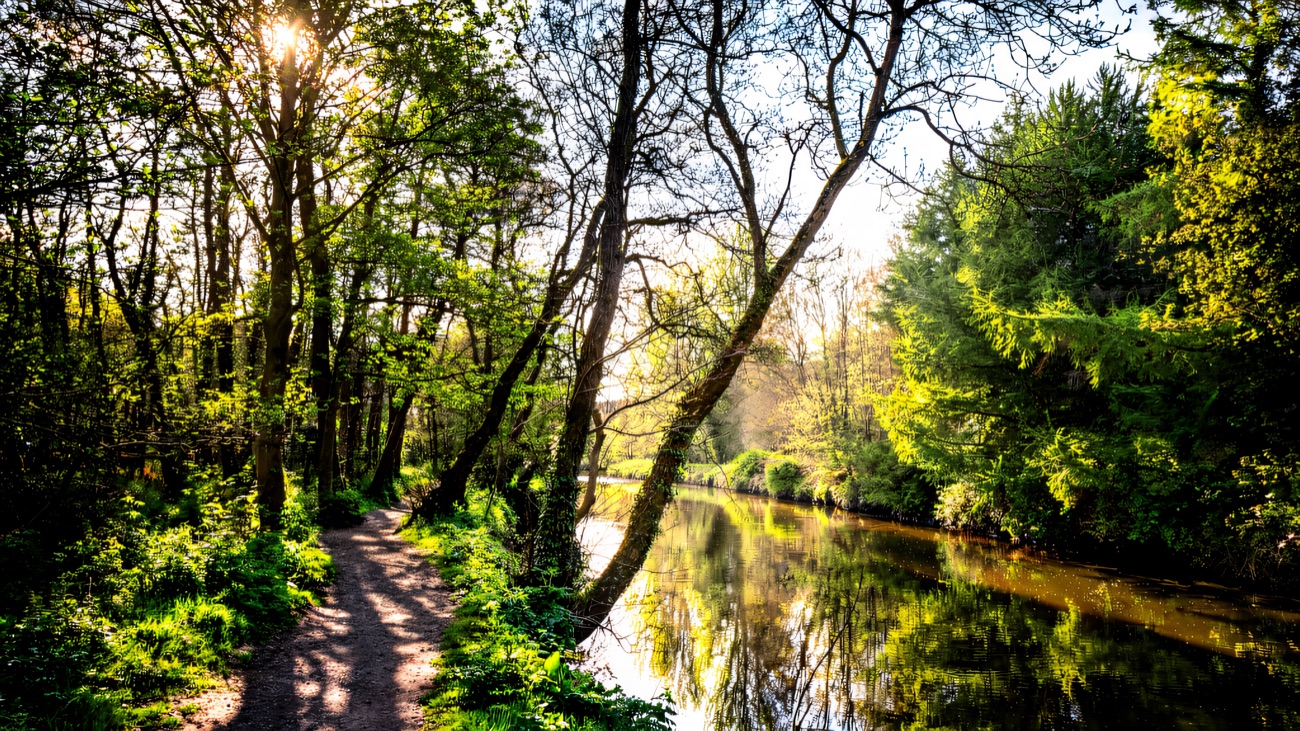 Sun filtering through the trees along the river towpath